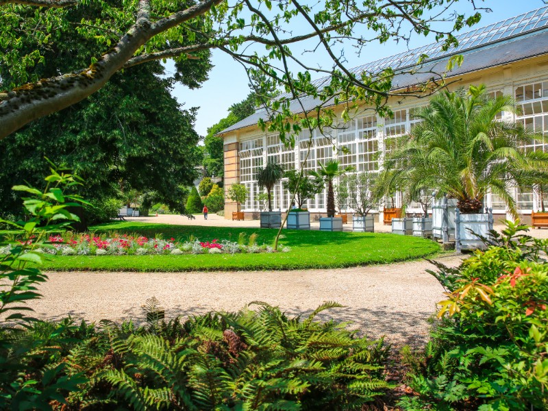 jardin des plantes-rouen